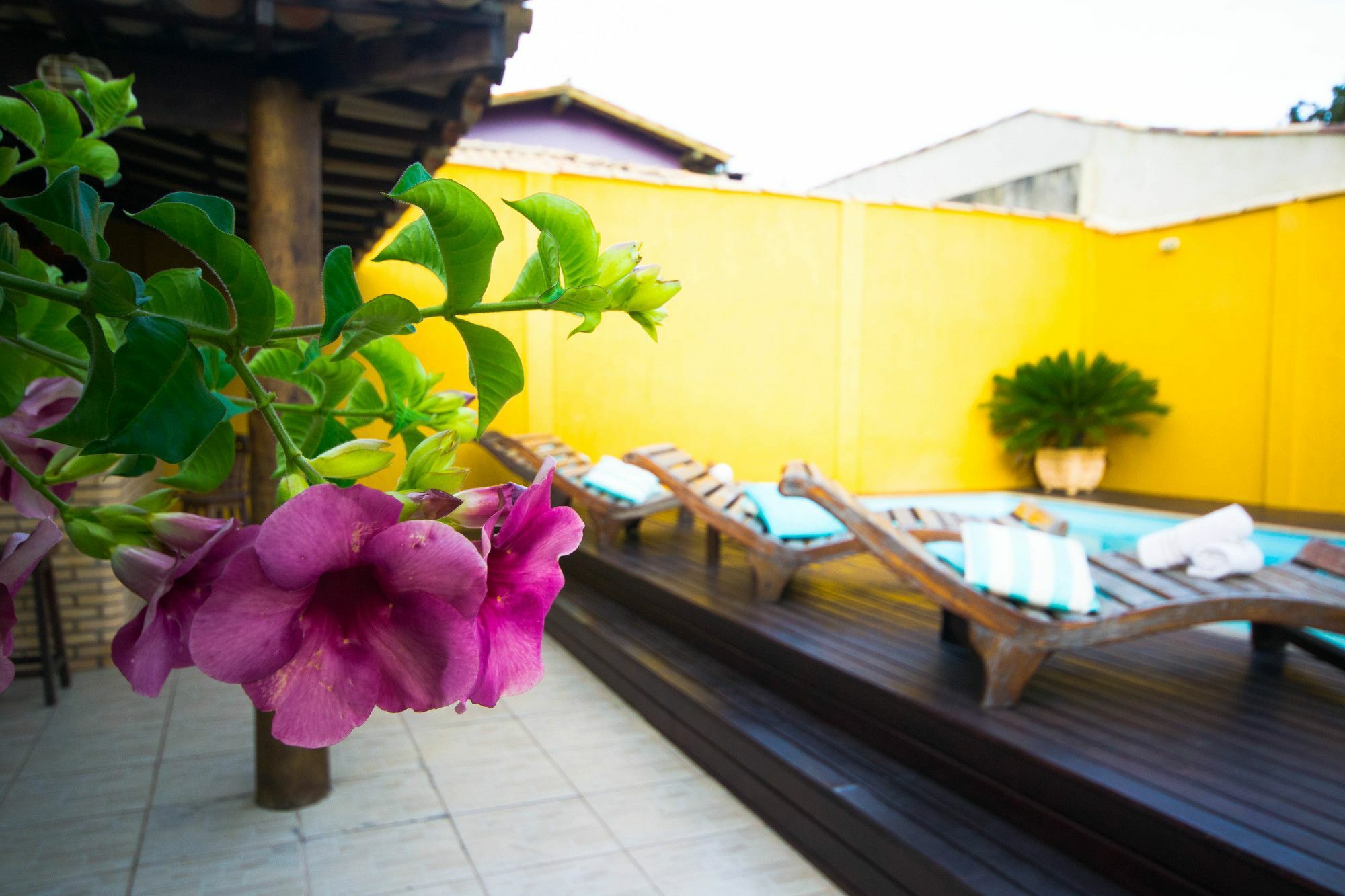 Inn Garden 2*